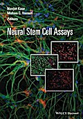 Neural Stem Cell Assays