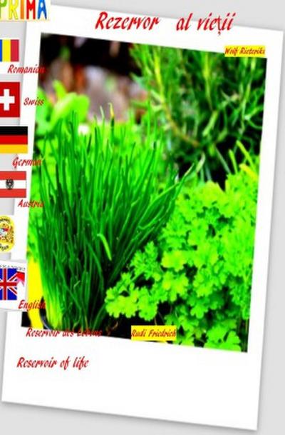 Rezervor al vie ii Romanian English  German Reservoir des Lebens Reservoir of life