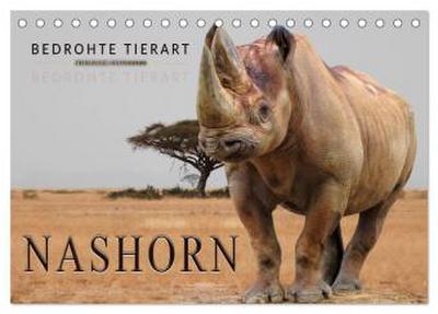 Bedrohte Tierart - Nashorn (Tischkalender 2026 DIN A5 quer), CALVENDO Monatskalender