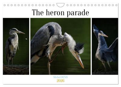 The heron parade (Wall Calendar 2026 DIN A4 landscape), CALVENDO 12 Month Wall Calendar