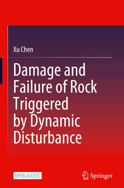Damage and Failure of Rock Triggered by Dynamic Disturbance