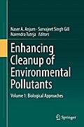 Enhancing Cleanup of Environmental Pollutants