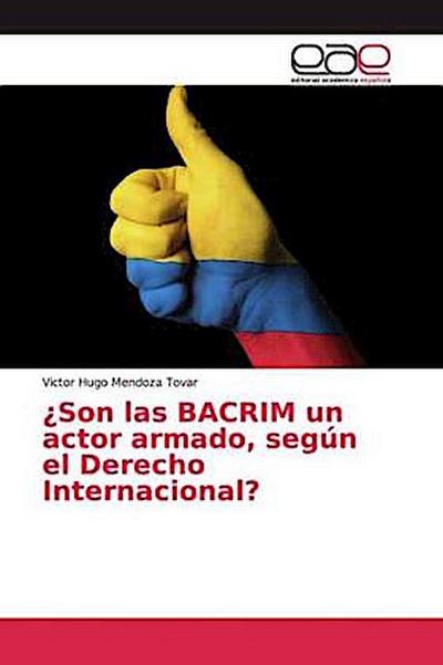 ¿Son las BACRIM un actor armado, según el Derecho Internacional?