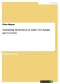 Sustaining Motivation in Times of Change due to Crisis - Ellen Meyer