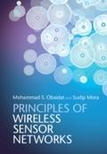 Principles of Wireless Sensor Networks