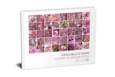 KIRSCHBLÜTE BONN
