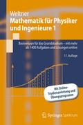 MathematikfürPhysikerundIngenieure1