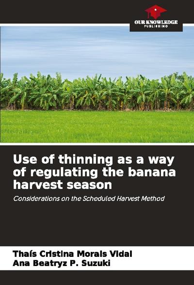 Use of thinning as a way of regulating the banana harvest season