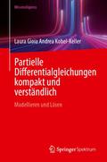 Partielle Differentialgleichungen kompakt und vers