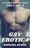 Gay Erotica - Volume 3