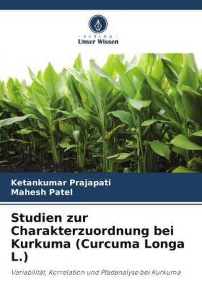 Studien zur Charakterzuordnung bei Kurkuma (Curcuma Longa L.)