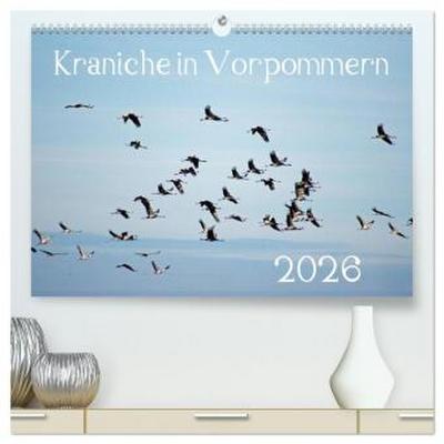 Kraniche in Vorpommern (hochwertiger Premium Wandkalender 2026 DIN A2 quer), Kunstdruck in Hochglanz