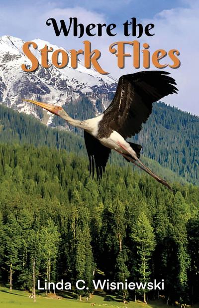Where the Stork Flies
