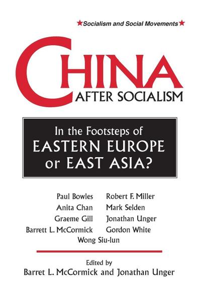 China After Socialism