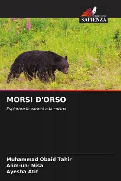 MORSI D’ORSO