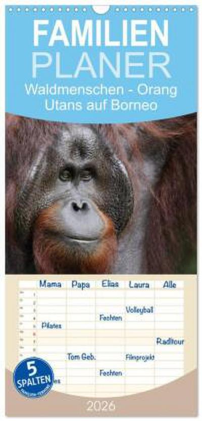 Familienplaner 2026 - Waldmenschen - Orang Utans auf Borneo mit 5 Spalten (Wandkalender, 21 x 45 cm) CALVENDO