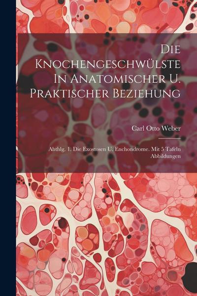 Die Knochengeschwülste In Anatomischer U. Praktischer Beziehung