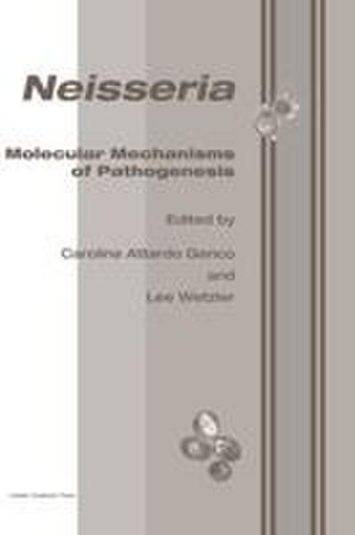Neisseria