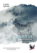Les âmes jumelles - Tome 1