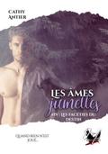 Les âmes jumelles - Tome 4