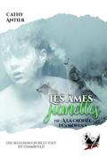 Les âmes jumelles - Tome 2