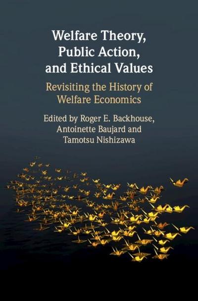 Welfare Theory, Public Action, and Ethical Values