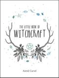 The Little Book of Witchcraft