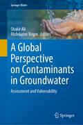 A Global Perspective on Contaminants in Groundwater
