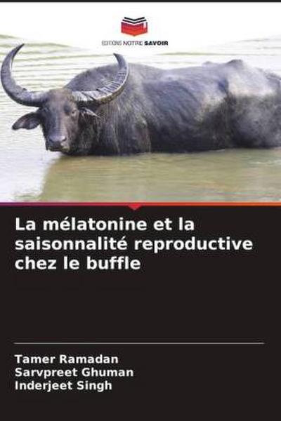 La mélatonine et la saisonnalité reproductive chez le buffle