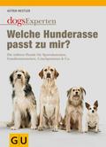Welche Hunderasse passt zu mir?