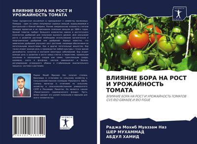 VLIYaNIE BORA NA ROST I UROZhAJNOST’ TOMATA