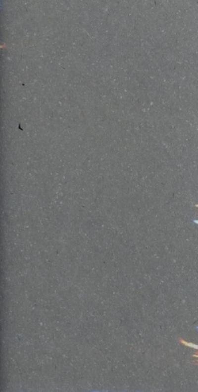 Postkartenset: Wegbereiterinnen XIX