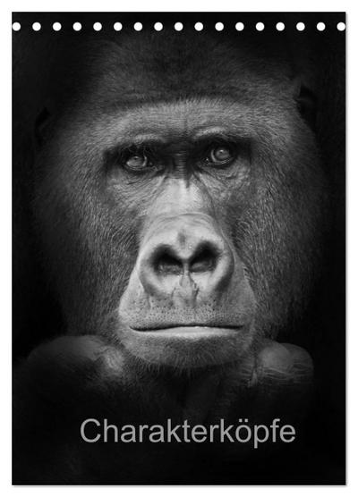 Accelerated Studies in Physics and Chemistry (ASPC)