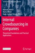 Internal Crowdsourcing in Companies