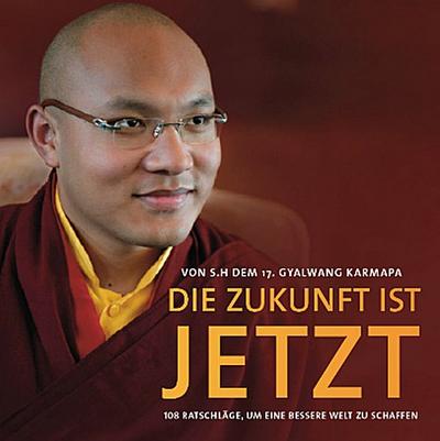 Ogyen Trinley Dorje (Der 17. Karmapa): ZUKUNFT IST JETZT