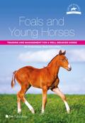 Foals and Young Horses