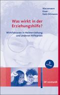 Was wirkt in der Erziehungshilfe?