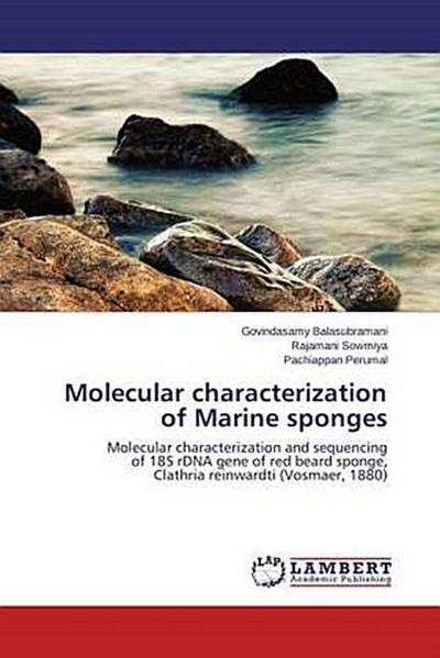 Molecular characterization of Marine sponges