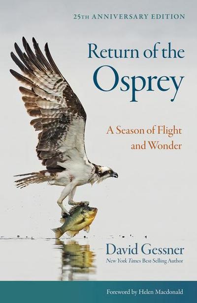 Return of the Osprey