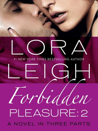 Forbidden Pleasure: Part 2