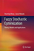 Fuzzy Stochastic Optimization