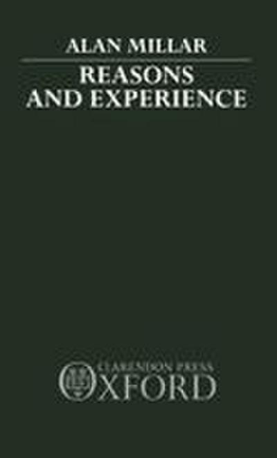 Reasons and Experience