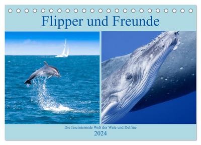 Flipper und Freunde (Tischkalender 2024 DIN A5 quer), CALVENDO Monatskalender