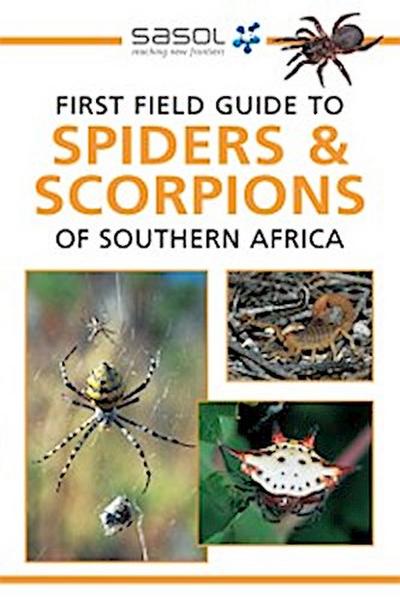 Sasol First Field Guide to Spiders & Scorpions of Southern Africa