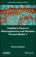 Capillary Flows in Heterogeneous and Random Porous