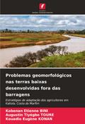 Problemas geomorfológicos nas terras baixas desenvolvidas fora das barragens