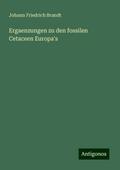 Ergaenzungen zu den fossilen Cetaceen Europa’