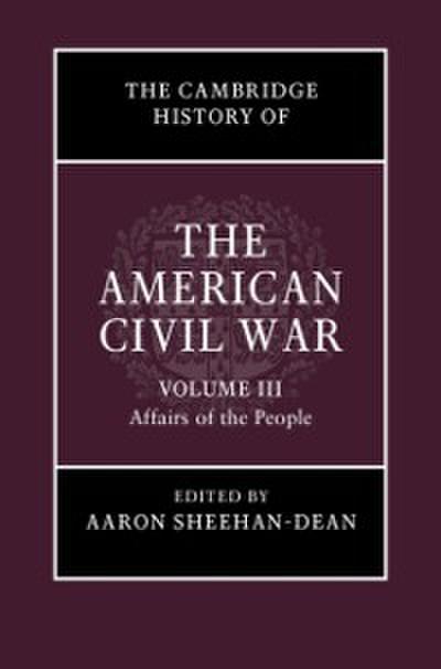 Cambridge History of the American Civil War: Volume 3, Affairs of the People