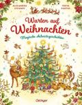 Warten auf Weihnachten. Magische Adventsgeschichte