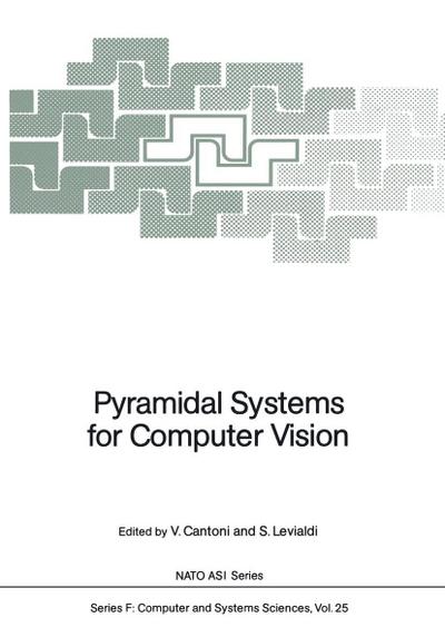 Pyramidal Systems for Computer Vision